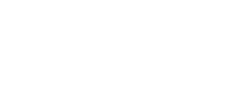 Guide Dogs